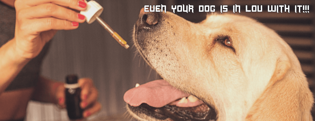 “Weede Means Weed Done Right”